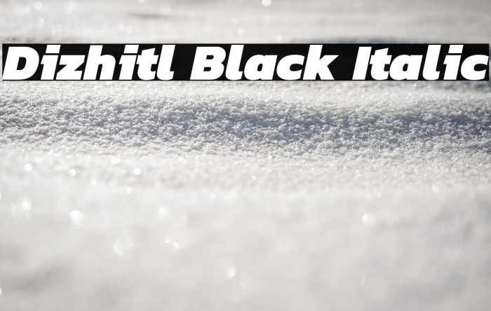 Dizhitl Black Italic Example 2
