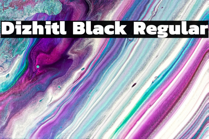 Dizhitl Black Regular Example 2