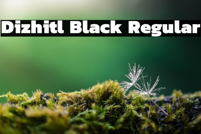 Dizhitl Black Regular Example 3