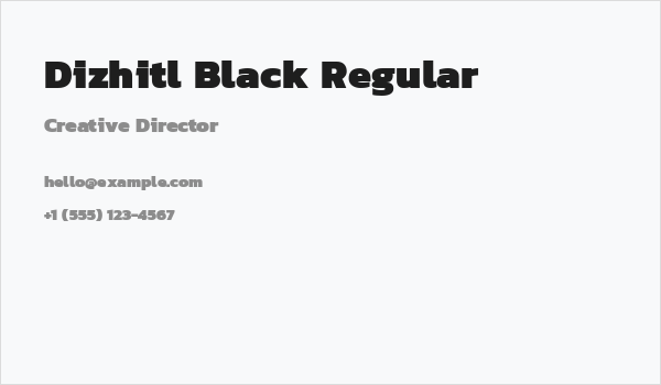 Dizhitl Black Regular Business Card