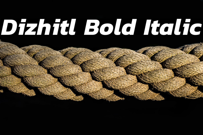 Dizhitl Bold Italic Example 1