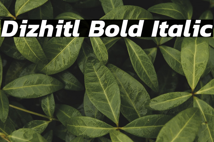 Dizhitl Bold Italic Example 2