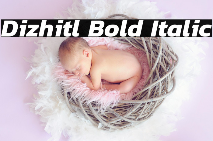 Dizhitl Bold Italic Example 3