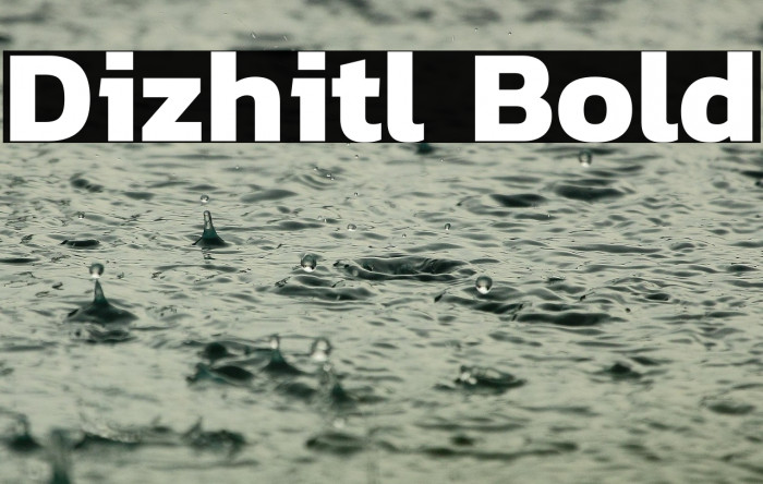 Dizhitl Bold Example 1