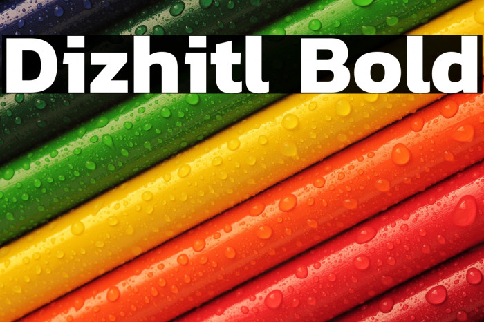 Dizhitl Bold Example 2