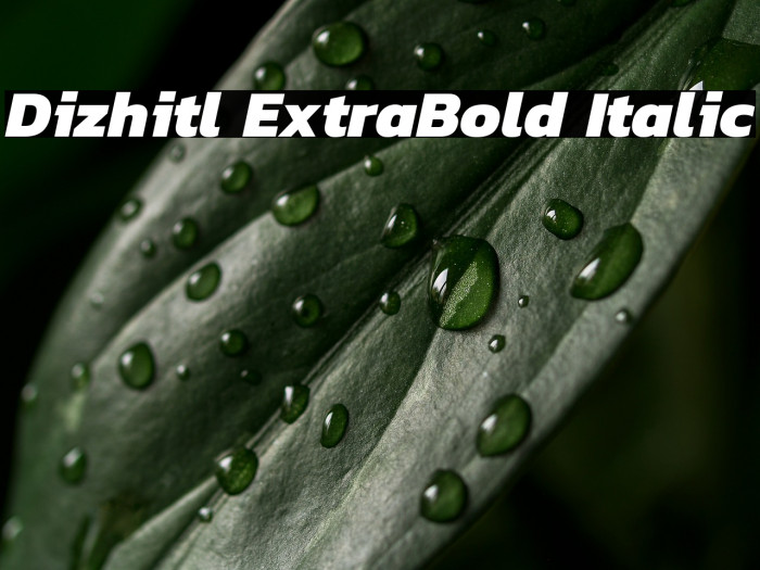 Dizhitl ExtraBold Italic Example 2