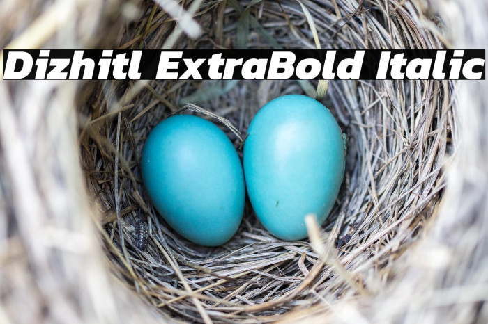 Dizhitl ExtraBold Italic Example 3
