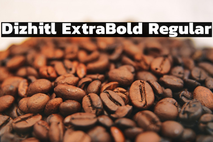 Dizhitl ExtraBold Regular Example 1