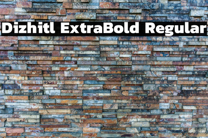 Dizhitl ExtraBold Regular Example 2