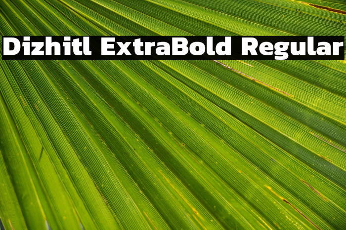 Dizhitl ExtraBold Regular Example 3