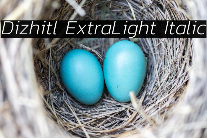 Dizhitl ExtraLight Italic Example 2
