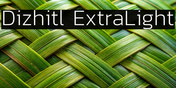 Dizhitl ExtraLight Example 2