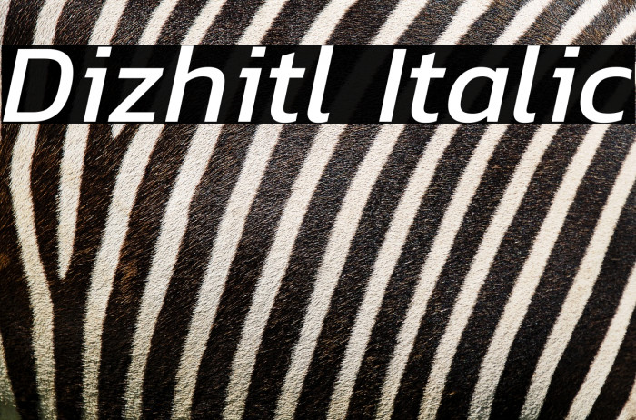 Dizhitl Italic Example 1