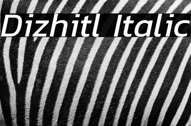 Dizhitl Italic Font examples