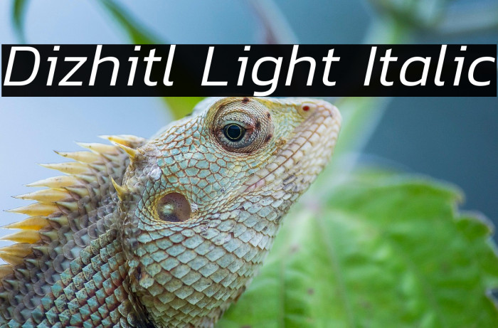 Dizhitl Light Italic Example 1