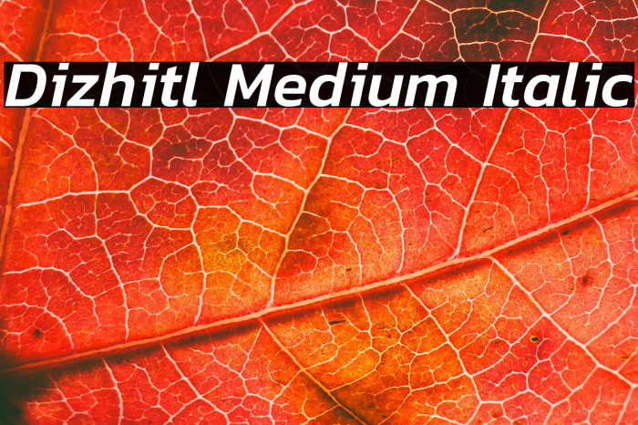 Dizhitl Medium Italic Example 2