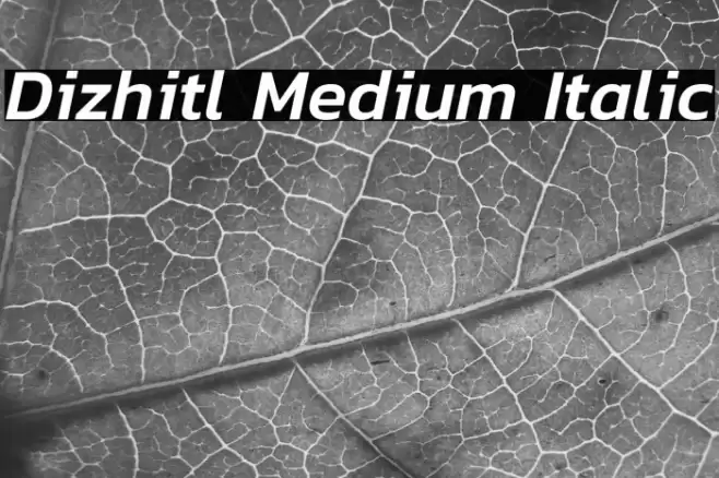 Dizhitl Medium Italic Font examples