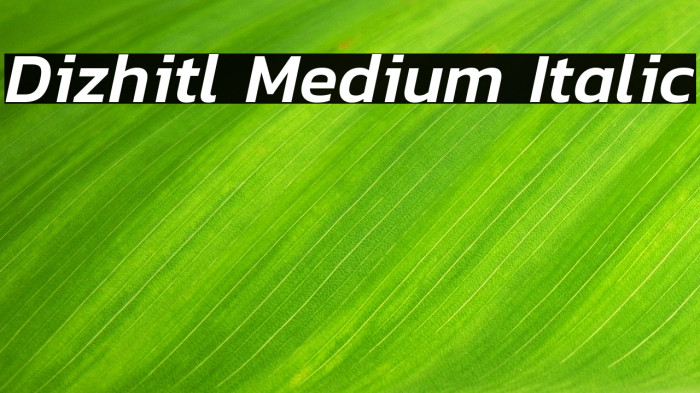 Dizhitl Medium Italic Example 3