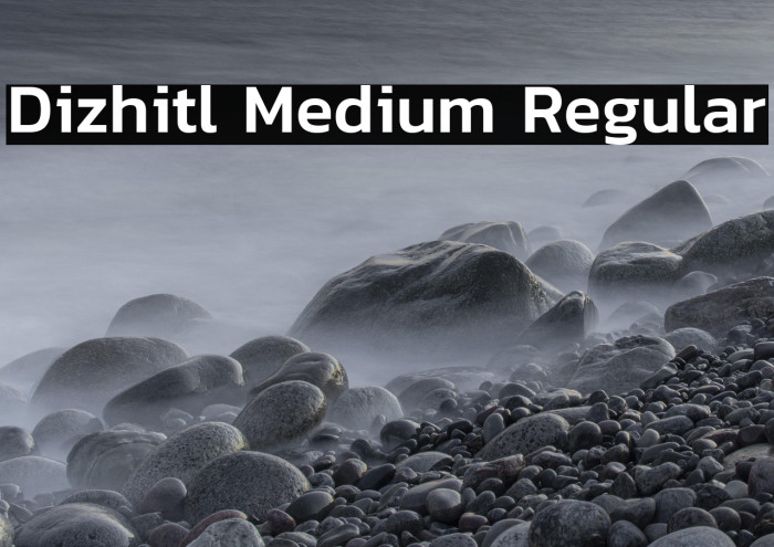 Dizhitl Medium Regular Example 1