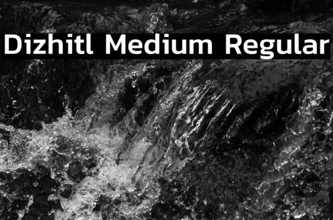 Dizhitl Medium Regular Font examples