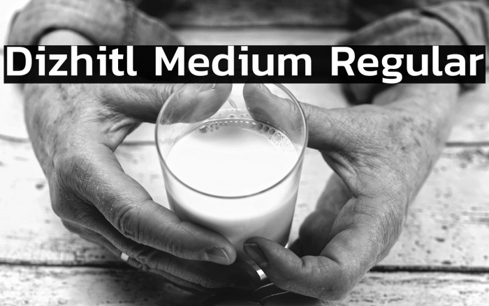 Dizhitl Medium Regular Example 3