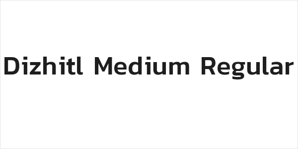 Dizhitl Medium Regular Logo