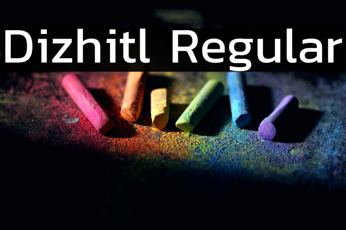 Dizhitl Regular Example 1