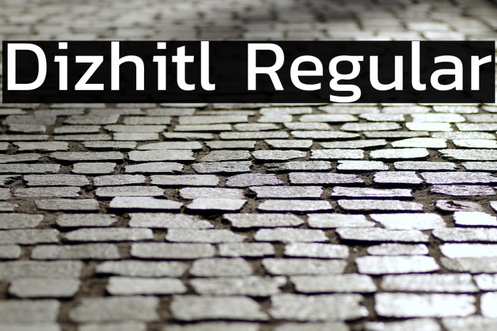 Dizhitl Regular Example 3