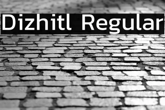 Dizhitl Regular Example 3