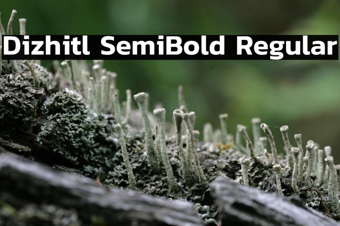 Dizhitl SemiBold Regular Example 1