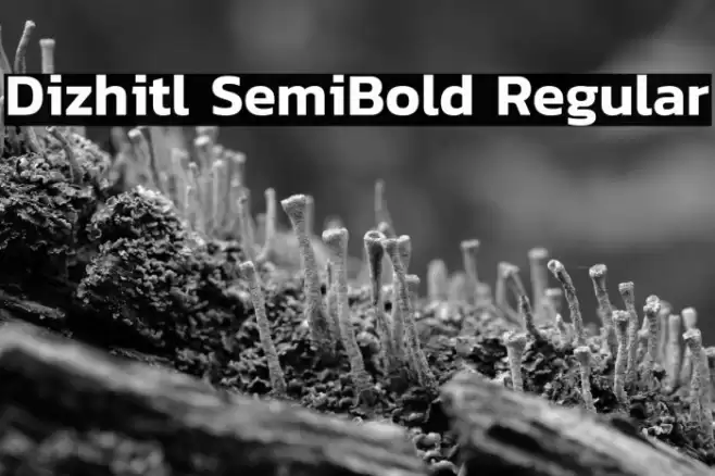 Dizhitl SemiBold Regular Font examples