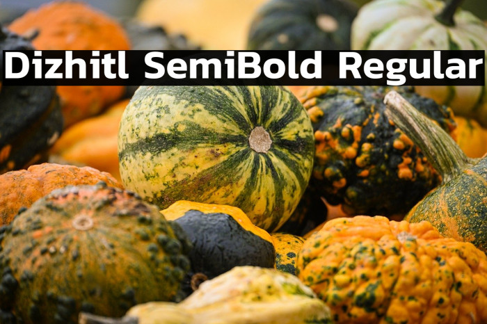 Dizhitl SemiBold Regular Example 2