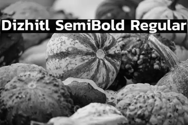 Dizhitl SemiBold Regular Font examples