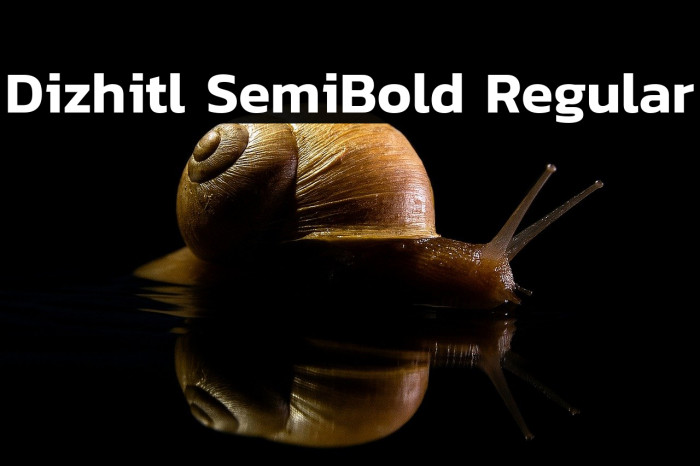 Dizhitl SemiBold Regular Example 3