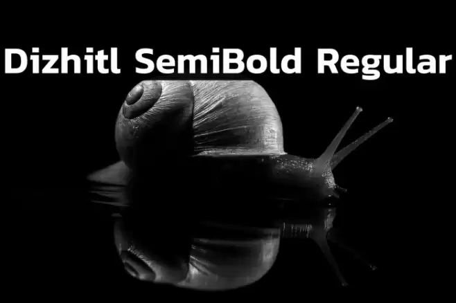 Dizhitl SemiBold Regular Font examples
