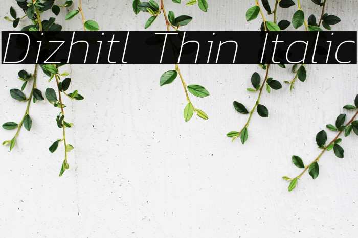 Dizhitl Thin Italic Example 1