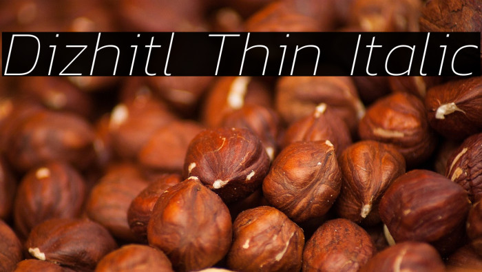 Dizhitl Thin Italic Example 2