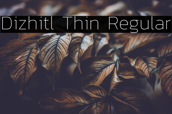 Dizhitl Thin Regular Example 1