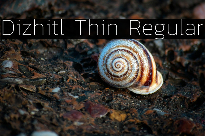 Dizhitl Thin Regular Example 2