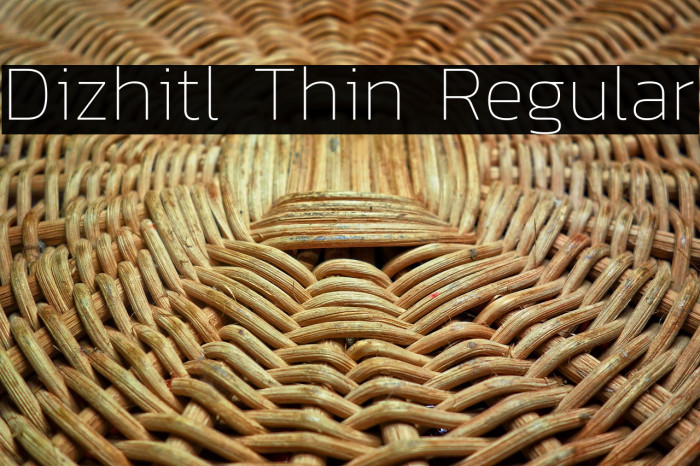 Dizhitl Thin Regular Example 3