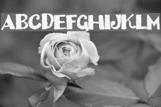 Dizzy Bitch Font examples