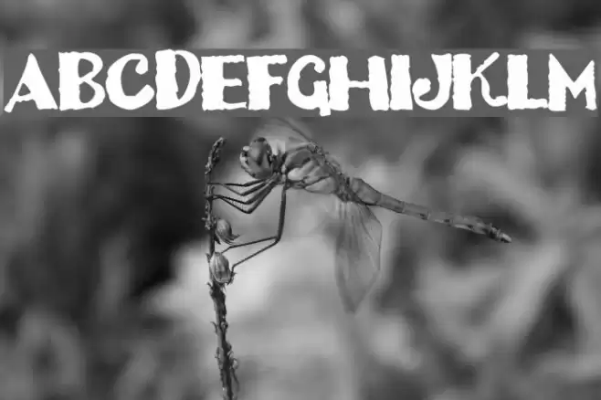 Dizzy Bitch Font examples