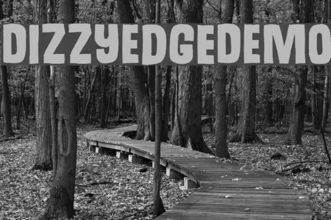 DizzyEdgeDEMO Font examples