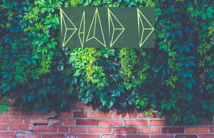 diamond d Font examples