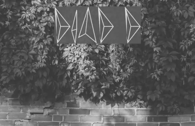 diamond d Font examples