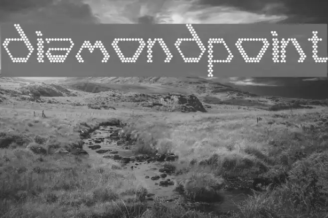 diamondpoint Example 2