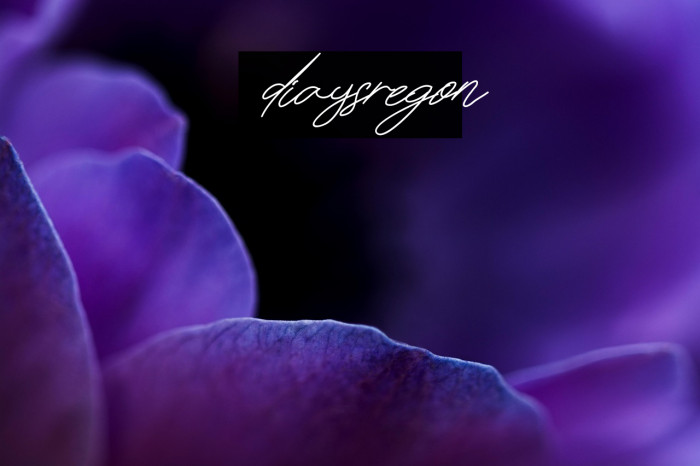 diaysregon Example 1