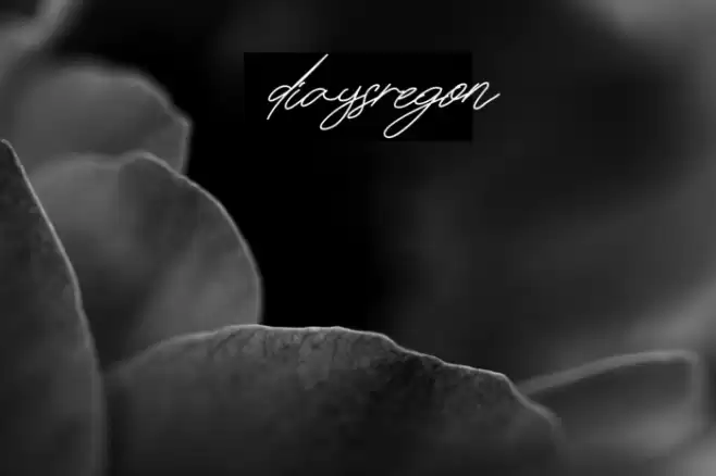 diaysregon Font examples