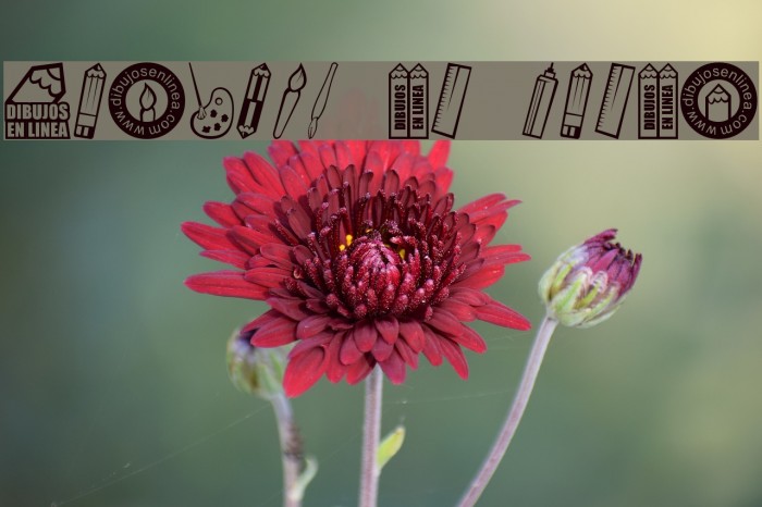 dibujos en linea Font examples