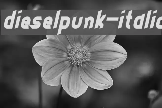 dieselpunk-italic Font examples